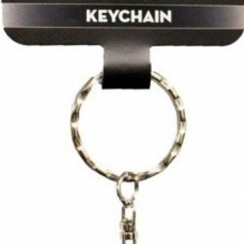 Masterball 3D Keychain