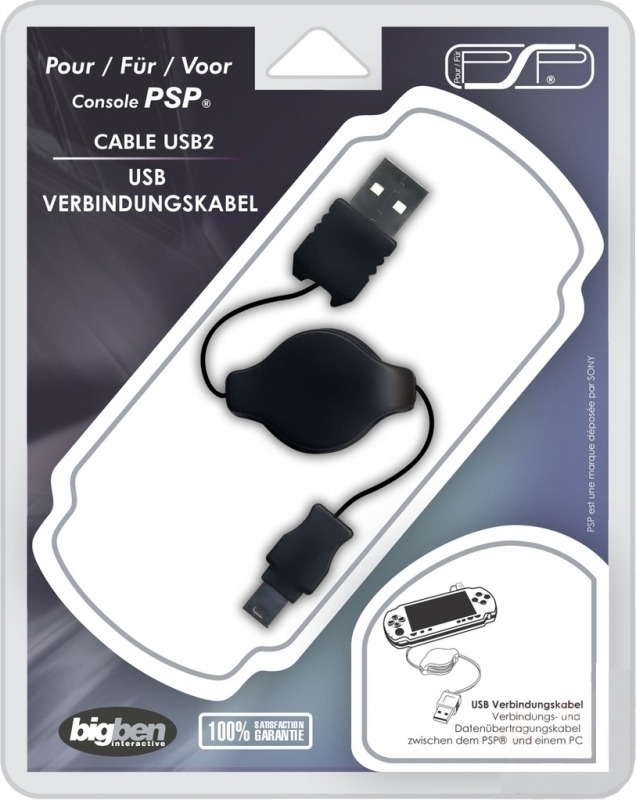Big Ben USB 2.0 Cable (PSPUSB2)