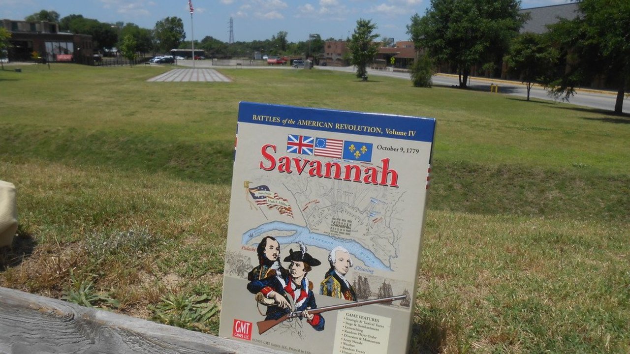 Savannah image #1