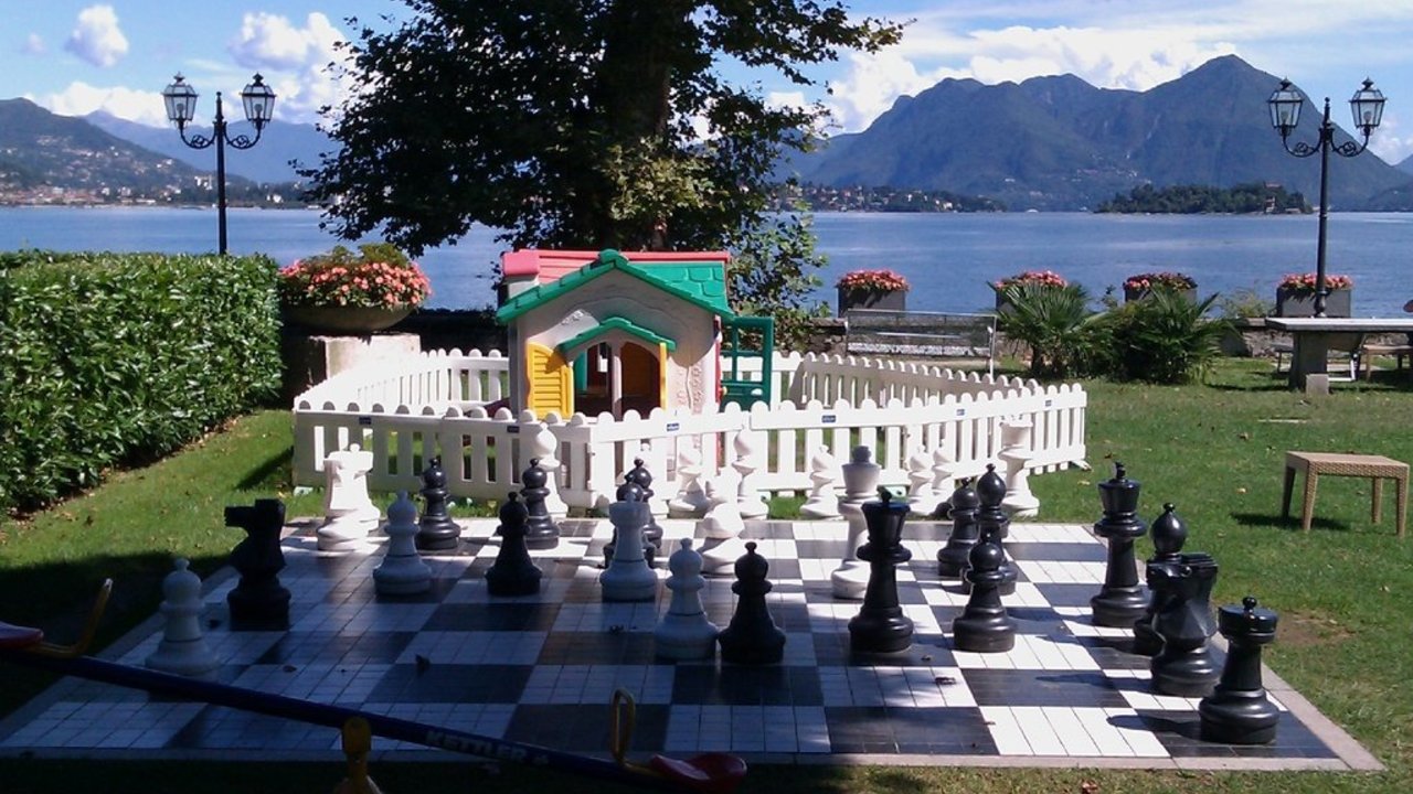 Chess image #5